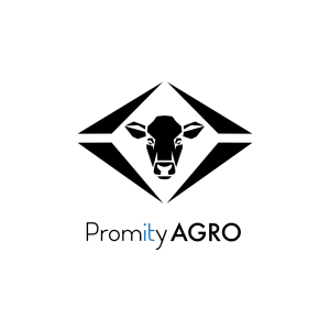 logo + nazwa czarne z niebieskim